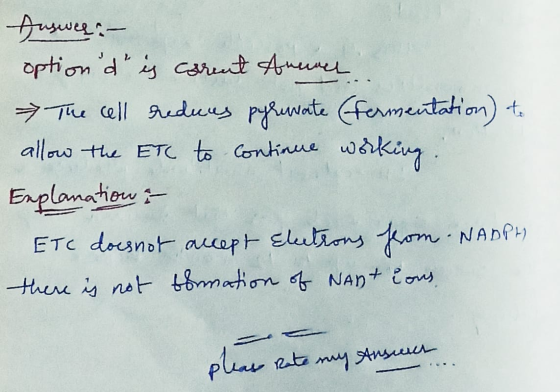 Auswer: - optionde is carent Annet The cell reduus pyrenate (fermentation) to allow the ETC to continue working Explanation