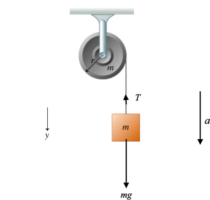 media%2F875%2F87549382-afed-4688-8c45-a5