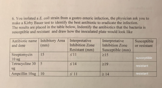 6. You isolated a E. coli strain from a gastro enteric infection, the physician ask you to make a Kirby Bauer test to identif
