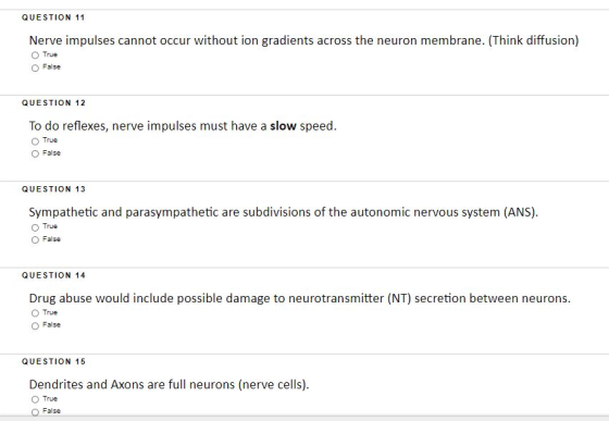 QUESTION 11 Nerve impulses cannot occur without ion gradients across the neuron membrane. (Think diffusion) True False QUESTI