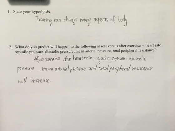 1. State your hypothesis. TYainina can change many asects o 2. What do you predict will happen to the following at rest versus after exercise - heart rate, systolic pressure, diastolic pressure, mean arterial pressure, total peripheral resistance? the heant vote, spctdie pesute, diontolc ter exercise presne mean anterial pvesuve a nd tofa pevpheral vesisrane witl mrease