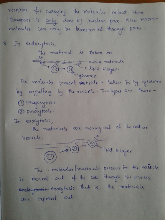 receptor for carrying the molecules insout. Here transport is only done by nuclear pore. Also macro- molecules can only be tr