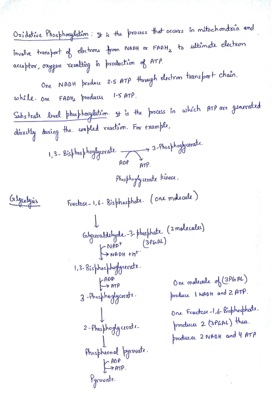 Oxidative Phosphosylation : 3t is the process that occurs in mitochondria and involve transport of elections from NADH or FAD