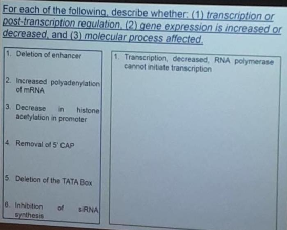 For each of the following, describe whether: (1) transcription or post-transcription requlation, (2) gene expression is increased or decreased and (3) molecular process affected 1. Deletion of enhancer 1. Transcription, decreased, RNA polymerase cannot initiate transcription 2. Increased polyadenylation of mRNA 3. Decrease in histone acetylation in promoter 4. Removal of 5 CAP 5. Deletion of the TATA Box 6. Inhibition of SiRNA Lsynthesis