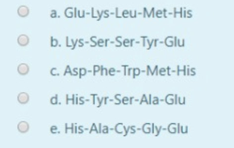 a. Glu-Lys-Leu-Met-His b. Lys-Ser-Ser-Tyr-Glu c. Asp-Phe-Trp-Met-His d. His-Tyr-Ser-Ala-Glu e. His-Ala-Cys-Gly-Glu o