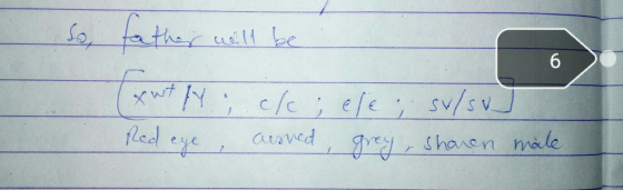 So, father will be & wtf .ck ; ele ; su/sud Red eye, aesned, grey , Sharen male