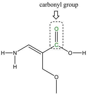 carbonyl group
H-
N
OH
Z-
I
