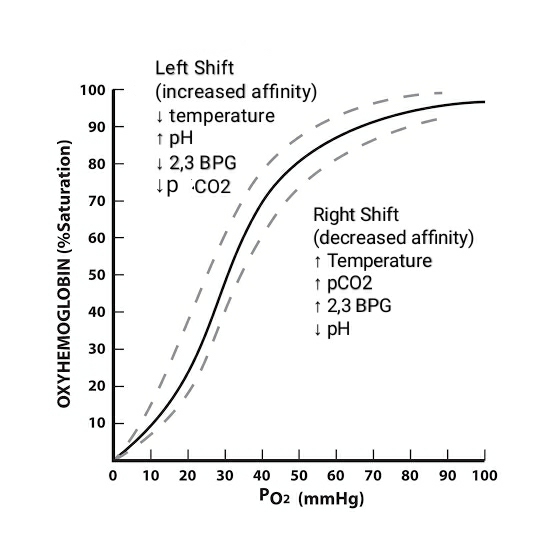 OXYHEMOGLOBIN (%Saturation) Left Shift (increased affinity) temperature грн 12,3 BPG / up CO2 Right Shift (decreased affinity