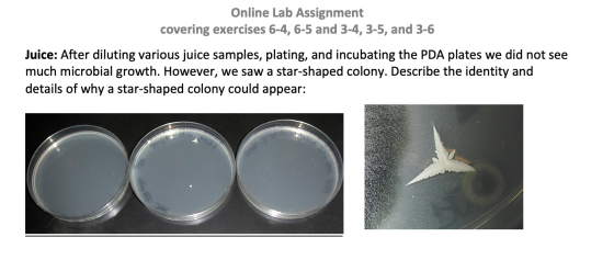Online Lab Assignment covering exercises 6-4, 6-5 and 3-4, 3-5, and 3-6 Juice: After diluting various juice samples, plating,