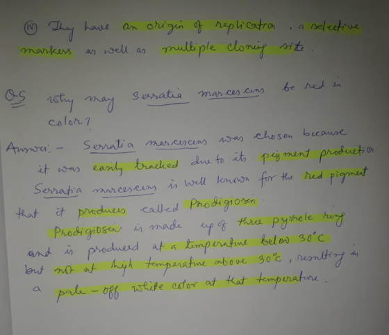 - They have an origin of replication, a selective markess as well as multiple cloning site as why may Serratia marces can be