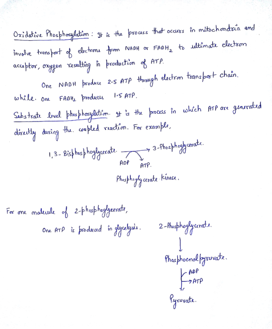 Oxidative Phosphosylatin : H+ is the process that occurs in mitochondria and involve transport of elections from NADH or FADH