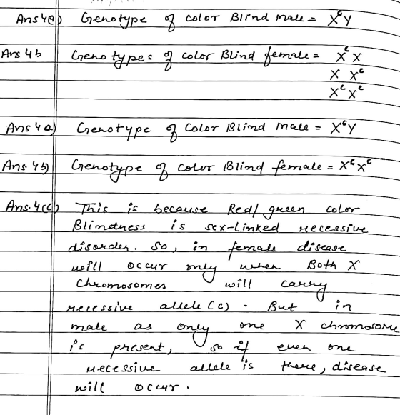 Anshel Genotype of color Blind male. X y types of color Blind female = xx Ans 4b Geno xx x x Anshal Xoy Genotype of color Bli