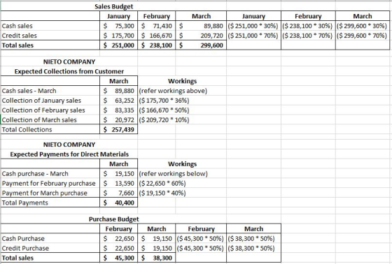 Cash sales Credit sales Total sales Sales Budget January February $ 75,300 $ 71,430$ $ 175,700 $ 166,670 $ $ 251,000 $ 238,10