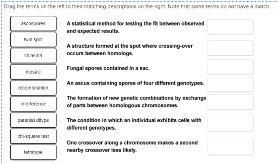 Drag the terms on the left to their matching descriptions on the right. Note that some terms do not have a match. ascospores