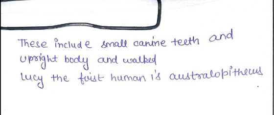 h and These includ e small aanine teet upsight body and coatbed the toist human is austontobithawl