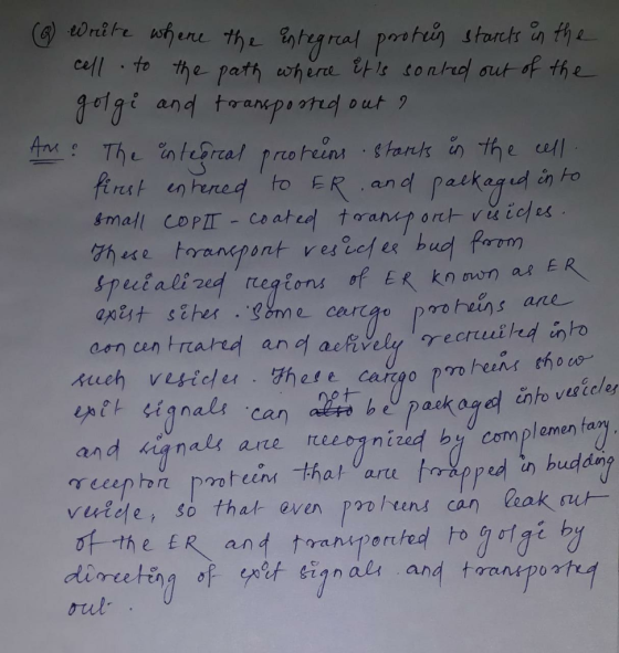 (6) Write where the entegreal protein starts in the cell to the path where it is sorted out of the golgi and transposted out