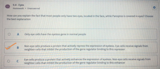 9.4 - Eyes Homework – Unanswered How can you explain the fact that most people only have two eyes, located in the face, while