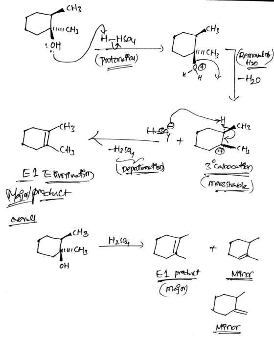 CH3 aсHg H-Hsay (Reaonle) H2o CH2 ProtonPar) |-20 CH2 HSi Cakocotn Depodtonte E1En oyoestable Mptuct an H2s04 он E1 predct Mi