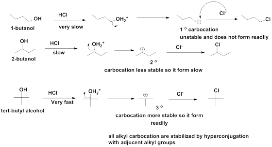 HCI CI- 1-butanol verv slow 1 ° carbocation unstable and does not form readlly он HCI CI 2 CI- slow 2-butanol carbocation les
