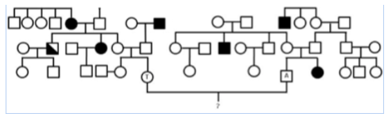 Problem on genetics, Please solve for what is aski