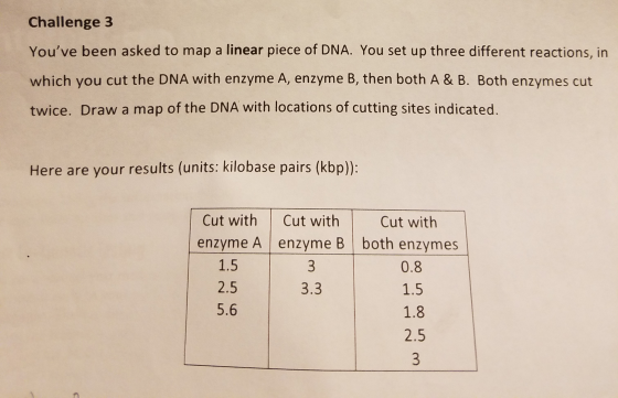 Challenge 3 Youve been asked to map a linear piece of DNA. You set up three different reactions, in which you cut the DNA with enzyme A, enzyme B, then both A & B. Both enzymes cut twice. Draw a map of the DNA with locations of cutting sites indicated. Here are your results (units: kilobase pairs (kbp) : Cut with | Cut with Cut with enzyme A enzyme B | both enzymes 0.8 2.5 5.6 1.8 2.5