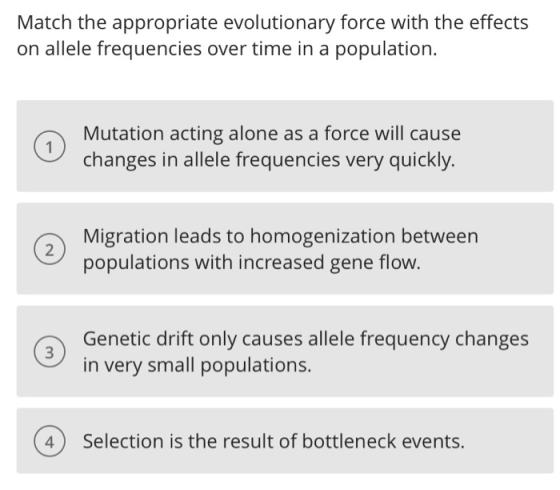 Match the appropriate evolutionary force with the effects on allele frequencies over time in a population. a Mutation acting