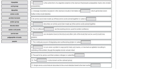 tripeptide is the active form of a digestive enzyme in the stomach that breaks polypeptide chains into smaller acid group pol