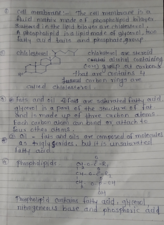 0 cell membrane: The cell membrane is a fluid matrix made of phospholipid bilayer. Scattered in the lipid bilayer are cholest