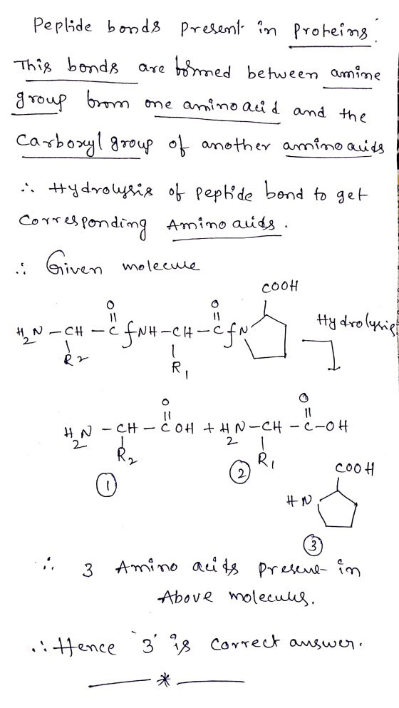 Peplide bonds present in proteins This bonds are formed between amine group from one amino acid and the Carboxyl group of ano