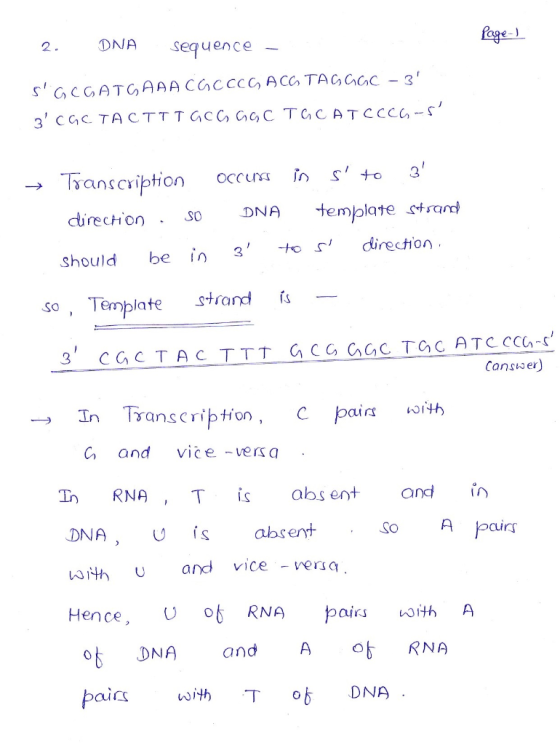 Page) 2. DNA sequence - SOCGATGAAACGCOCGACC TAGGGC -3 3 CGCTACTTTGCG GCC TGCATCCCG-S → Transcription direction · S0 shoul