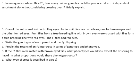 5. In an organism where 2N = 20, how many unique gametes could be produced due to independent assortment alone (not consideri