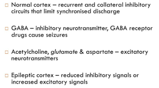 Normal cortex – recurrent and collateral inhibitory circuits that limit synchronised discharge GABA – inhibitory neurotransmi