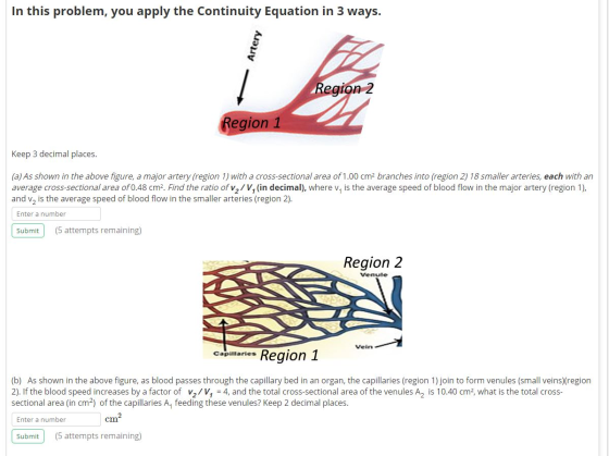 In this problem, you apply the Continuity Equation in 3 ways. Artery Region 2 Region 1 Keep 3 decimal places. (a) As shown in