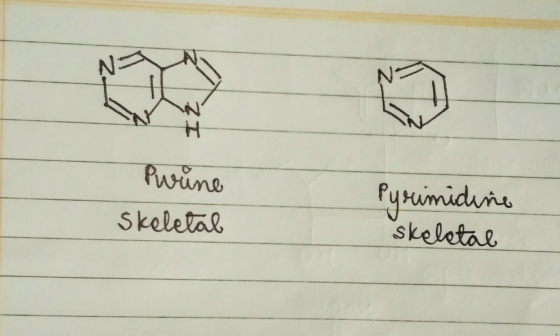 NE NE ZI Pwrine Skeletal Pyrimidine skeletal