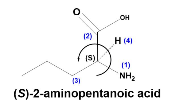 HO (2) H (4) (S) (1) NH2 (3) (S)-2-aminopentanoic acid