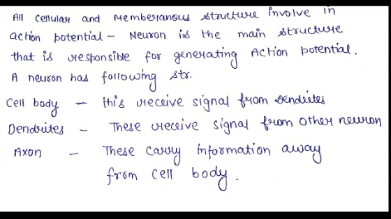 All Cellular and achon botential Memberanous structure involve in Neuron is the main structure that is responsible for genera