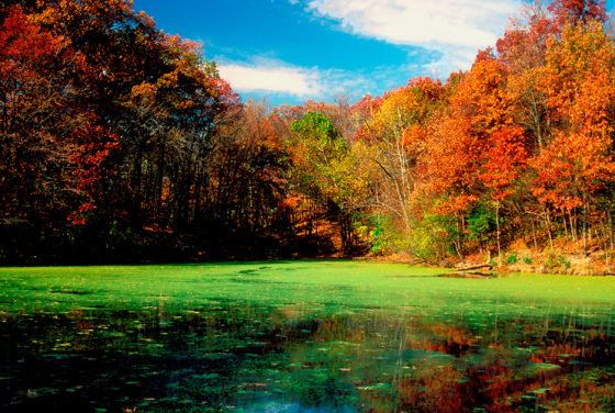 lake color