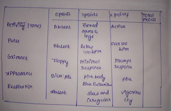 opoint 12 points rotal (points Activity (tone) Absent Active Apoints Flened arms & legs Below loobpm Pulse Absent lover 100 b