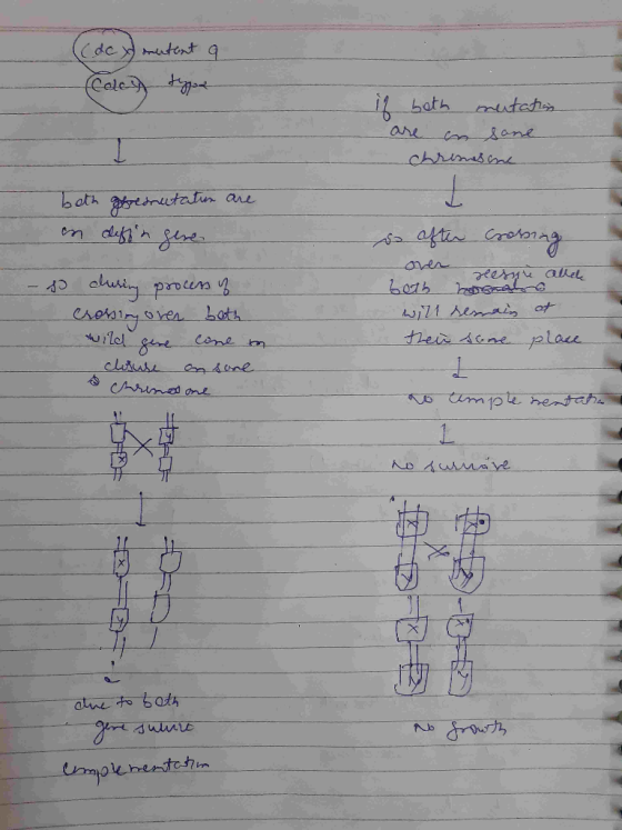 (( de y mantent a Caley type if both mutation are in sane chremesine beth gefremutation are an defin gere - po during process