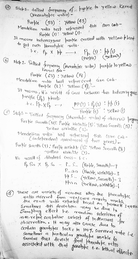 34 means heteva 6 step 2. Stebl. falled frequences of burple to yellow Kernel Chenotybre ratio) Purple (53) : Yellow (43) Men