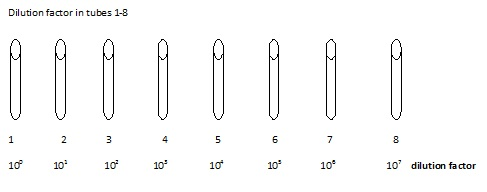 Dilution factor in tubes 1-8 1 2 3 un E 2 10 10 10 10 10 10 10 10 dilution factor