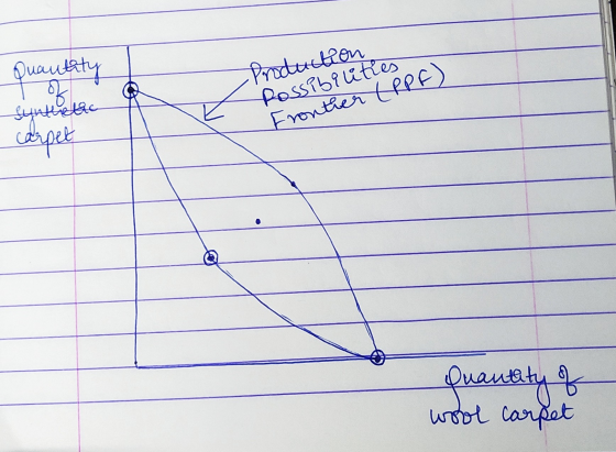Quantity - Production synthetic carpet Possibilities Frontier ERPF) quantity of wool carpet