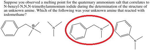 Suppose you observed a melting point for the quaternary ammonium salt that correlates to N-benzyl-N.NJN-trimethylammonium iod