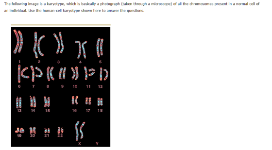 The following image is a karyotype, which is basically a photograph (taken through a microscope) of all the chromosomes prese