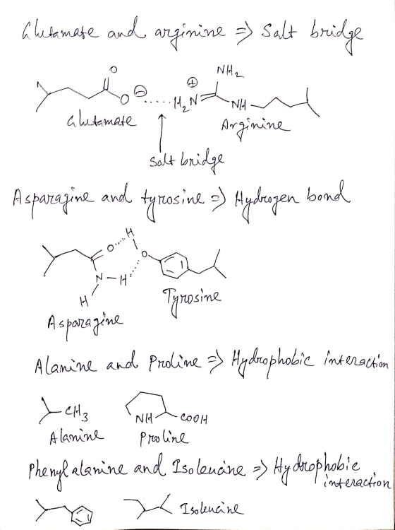 alutamate and arginine =) Salt bridge - NH2 - who we alutamate a Arginine salt bridge n araune Asparagine and tyrosine =) Hyd