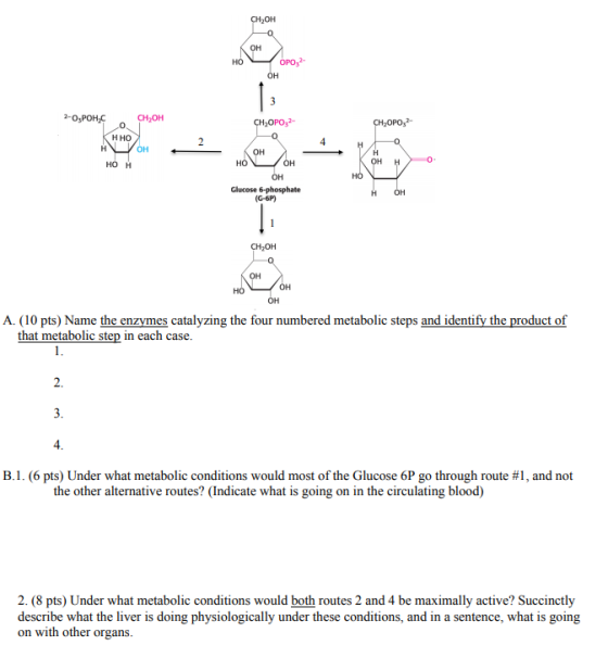 CH OH OH OPO OH 2-O,POH, CH2OH CHOPO,2- KHHO How OH HO H HO OH OHHO- но и OH Glucose 6-phosphate (G-6P) нон CH OH KOH LOH OH