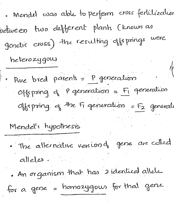 cross ferlilizatun perfom Mendel cwan able to two dutterent plantk Cknoum as the resulhing eprings between were genetic cross