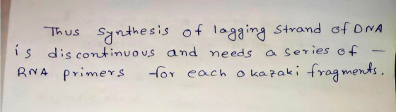 Thus synthesis of lagging strand of DNA is discontinuous and needs a series of RNA primers for each okazaki fragments.