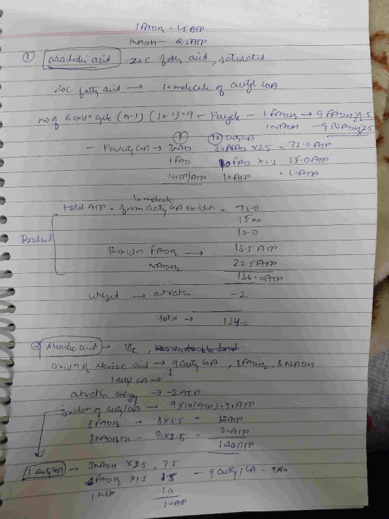 Ори- & ТТР aratidi and -20 C fatty and saturated 200 fatty and → lo molecule of authe LOA noq Boxlun cycle (n-1) (10-1)-9 - P