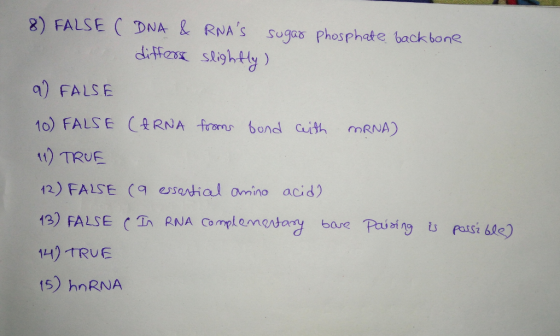 8) FALSE ( DNA & RNAS Sugaơ phosphate backbone dieHasx slighty) ) FALSE 10) FALSE ARNA f ono bond ath mRNA) t) TRUE 12) FALSE